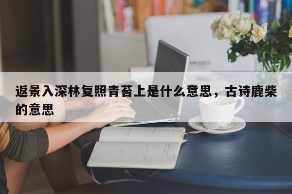 返景入深林复照青苔上是什么意思，古诗鹿柴的意思
