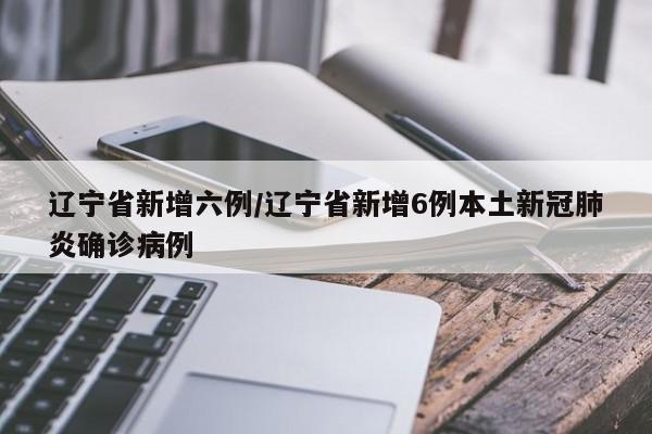 辽宁省新增六例/辽宁省新增6例本土新冠肺炎确诊病例