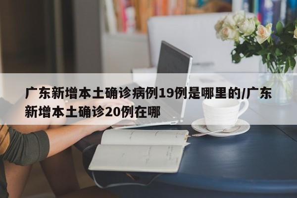广东新增本土确诊病例19例是哪里的/广东新增本土确诊20例在哪