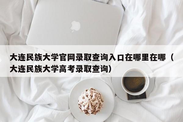 大连民族大学官网录取查询入口在哪里在哪（大连民族大学高考录取查询）