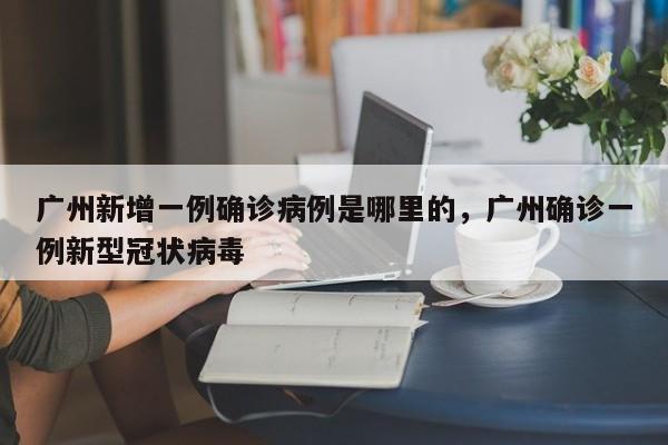 广州新增一例确诊病例是哪里的，广州确诊一例新型冠状病毒